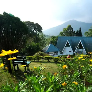 Camelot 3*, Munnar India